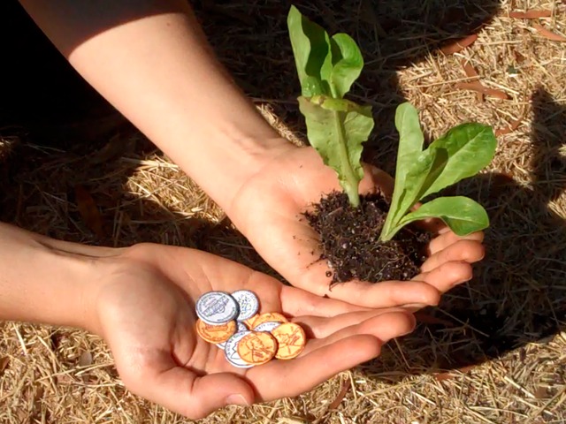 #Sabiasque… el oro puede ser cultivado en plantas