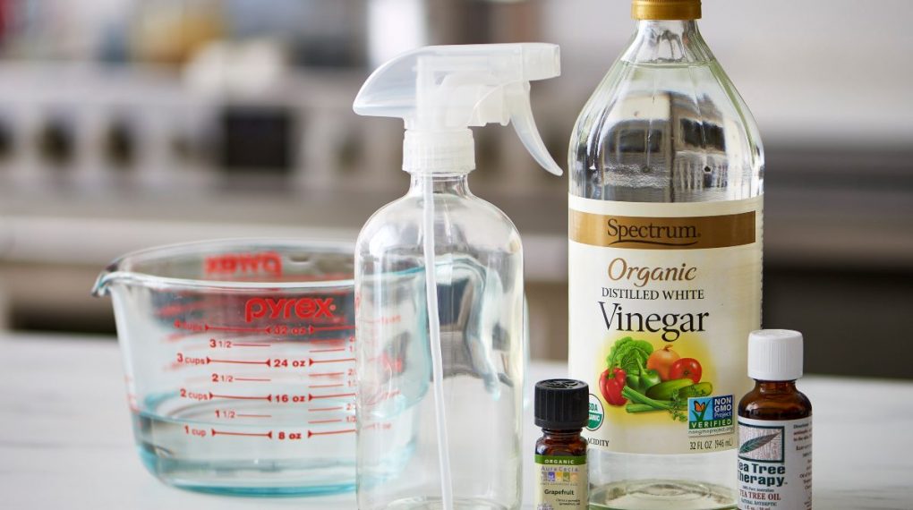 Vinagre: un aliado ecológico indispensable en el hogar para limpieza, eliminación de manchas y remedios naturales
