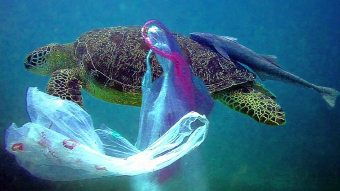 Dato Alarmante: Cada segundo arrojamos mas de 200 kilos de plásticos a los oceanos