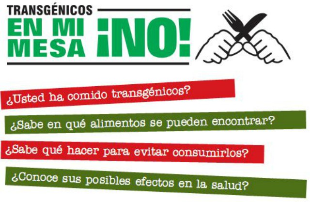 Alemania: el país de origen de las productoras de transgénicos mas grandes del mundo los prohíbe por ley