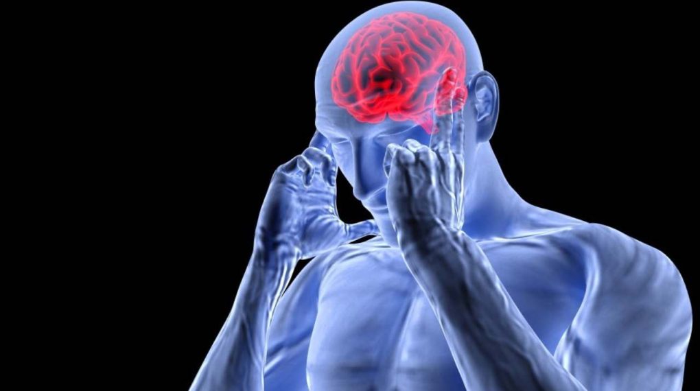 Uno de los ingredientes más comunes en tus comidas altera los genes del cerebro. Descúbrelo!