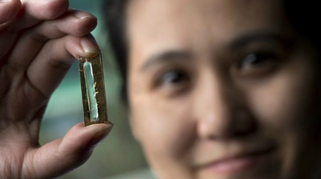 Una joven estudiante crea una batería revolucionaria que dura mas de 400 años