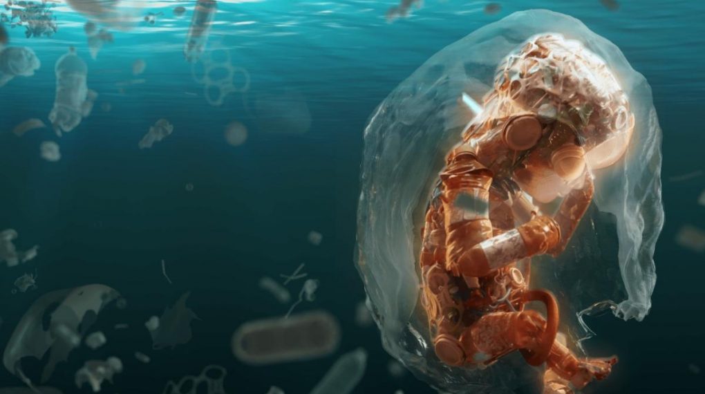 Los microplásticos oceánicos transportan bacterias y virus que afectan la salud de humanos y animales