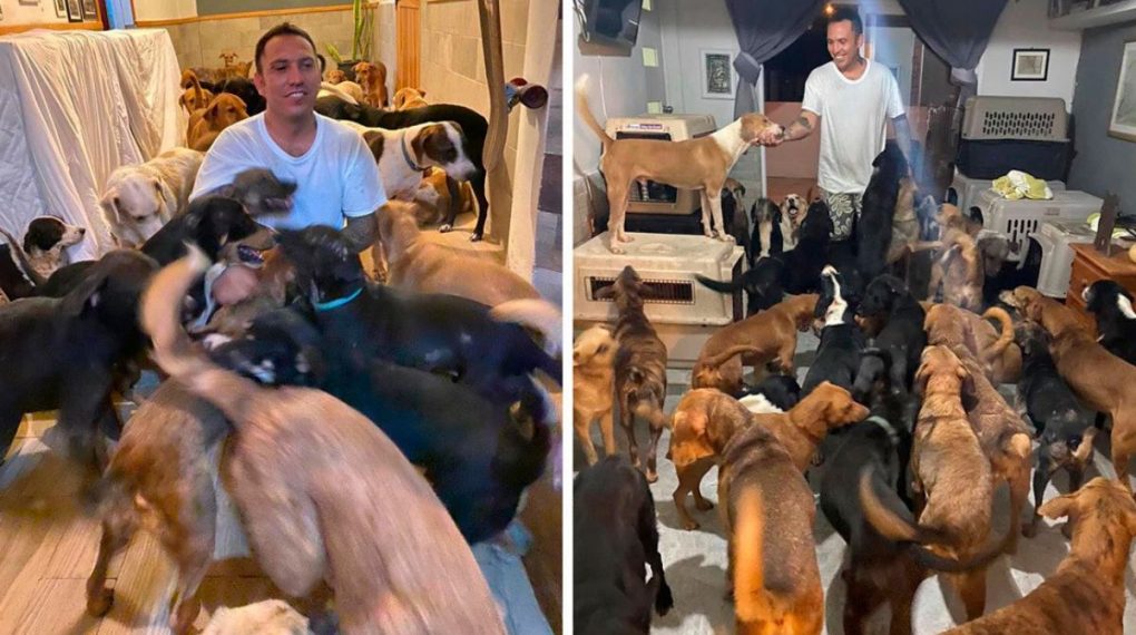 Ejemplo a seguir. Un mexicano protege a más de 300 animales del huracán Delta