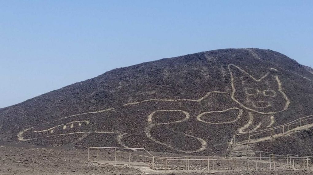 VIDEO. Un gato de 37 metros es el nuevo geoglifo descubierto en las líneas de Nazca