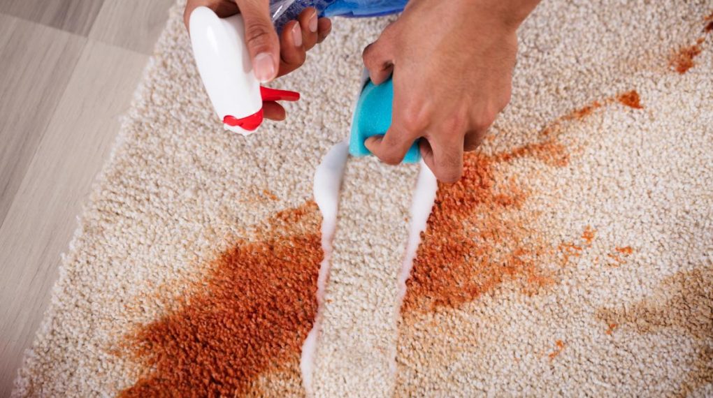 Con 3 sencillos ingredientes que tienes en casa puedes hacer un limpiador ecológico perfecto para limpiar alfombras