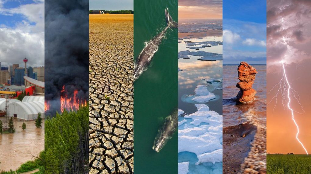 Informe sobre cambio climático augura un futuro oscuro para el planeta si no actuamos pronto