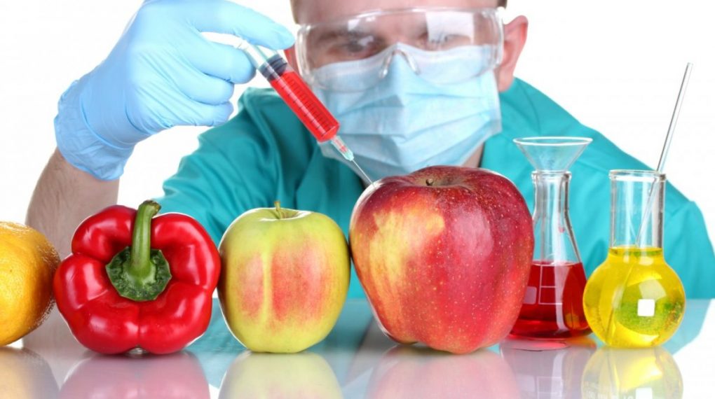 Transgénicos: la verdad sobre los alimentos geneticamente modificados