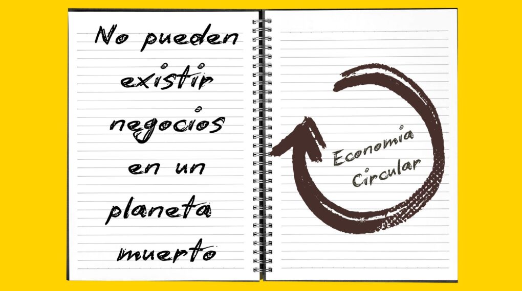 2025 y la Economía Circular: Un Cambio Necesario para las Empresas